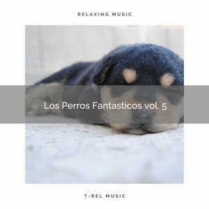 2021 New: Los Perros Fantasticos vol. 5 - Biblioteca de Música Para Mascotas