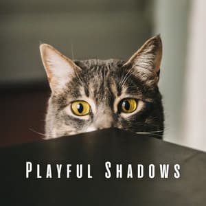 Playful Shadows: Ambient Music for Energetic Cats - Energy Center