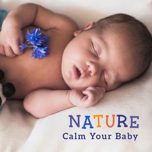 Nature - Calm Your Baby: The Way to Calm Crying and Help Your Newborn Baby Sleep - Bedtime Songs Sanctuary