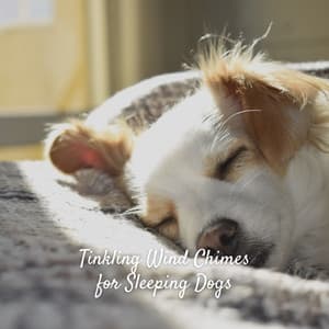 Tinkling Wind Chimes for Sleeping Dogs - Sleep Doggie