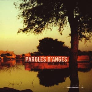 Paroles D'anges - Armand Amar