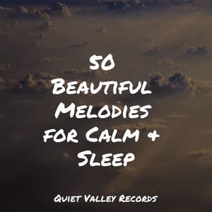 50 Beautiful Melodies for Calm & Sleep - Meditação Maestro