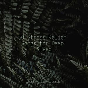 50 Stress Relief Songs for Deep Sleep - Relaxing Spa Music