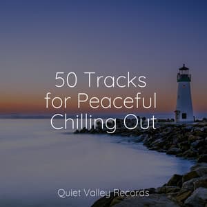 50 Tracks for Peaceful Chilling Out - Sonidos de la Naturaleza Relax