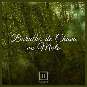 Barulho de Chuva no Mato - Para Dormir