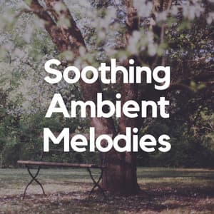 Soothing Ambient Melodies - Sleeping Music