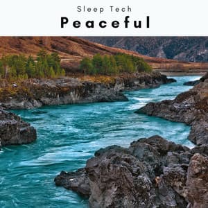 4 Dreams: Peaceful - Sleep Tech