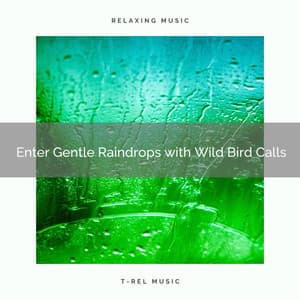 ! ! ! ! ! ! ! ! ! ! Enter Gentle Raindrops with Wild Bird Calls - Heavy Rain Sounds