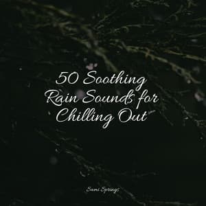 50 Soothing Rain Sounds for Chilling Out - The Rain Library