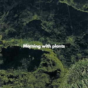 Morning with plants - Musique de Fond Jazz