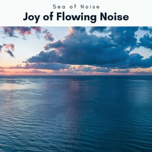 A Joy of Flowing Noise - Sea of Noise