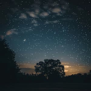 Ecos Suaves Del Sueño: Melodías Para Noches Apaciguadoras - Vibraciones frías