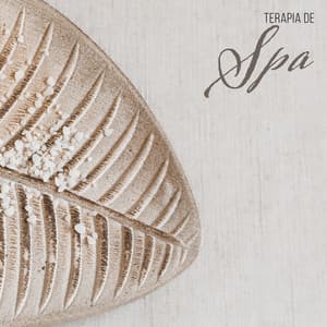Terapia de Spa - Música Relajante para una Relajación Profunda, Centro de Bienestar, Regeneración Corporal - Academia de Música para SPA