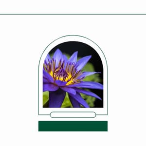 Relaxing Rituals - Uplifting - Background Jazz for Studying