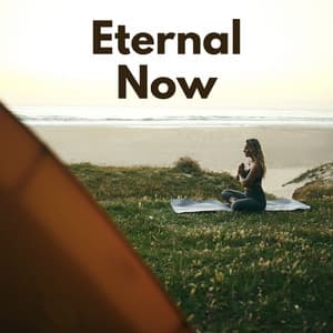 Eternal Now - Zen Meditation Music Academy