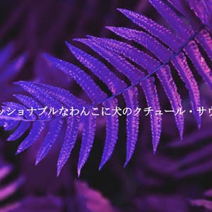 ファッショナブルなわんこに犬のクチュール・サウンド - Coffee Shop Playlist