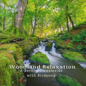 Woodland Relaxation: A Serene Streamside with Birdsong - Forest FX