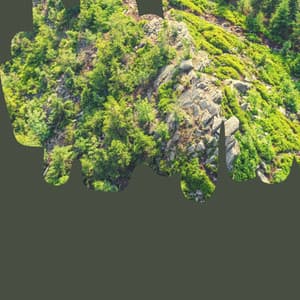 Bubbly - Calming Moments - Reading Music Playlist