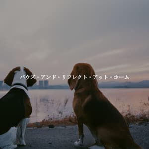 パウズ・アンド・リフレクト・アット・ホーム - Jazz Lento