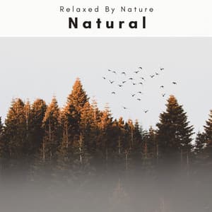 1 Natural - Natures Acoustics