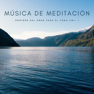 Música De Meditación: Sonidos Del Agua Para El Yoga Vol. 1 - Ahora: Relajante