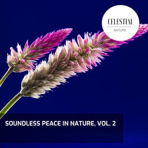 Soundless Peace in Nature, Vol. 2 - Nature Radiance