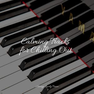 The Best Piano Melodies - Soulful Piano Group