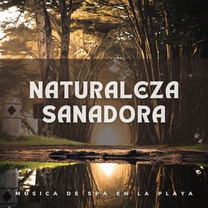 Naturaleza Sanadora: Música de Spa en la playa - El Proyecto Naturaleza
