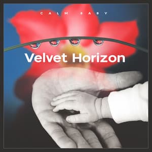 Velvet Horizon - Calm Baby