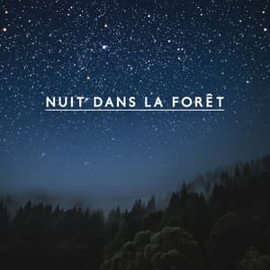 Nuit dans la forêt: Détente naturelle - Naturel Relaxation Ambiance