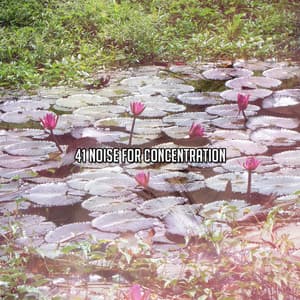41 Noise for Concentration - Japanese Relaxation And Meditation