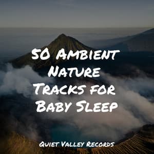 50 Ambient Nature Tracks for Baby Sleep - Meditation Zen