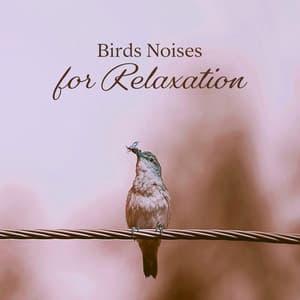 Birds Noises for Relaxation: Gentle Natural Noises That Will Relieve You from Stress and Anxiety - Awesome Nature Sounds Ensemble