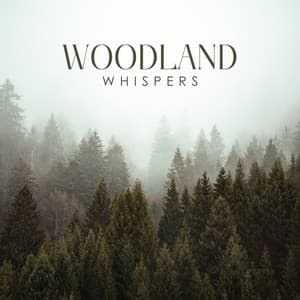 Woodland Whispers: Soothing Music for Fields of Serenity - Natural Meditation Guru