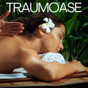 Traumoase - Entspannungsmusik Wellness Club
