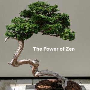 The Power of Zen - Native Flute Ensemble