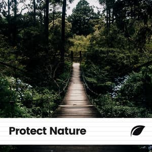 Protect Nature - Island Nature Sounds