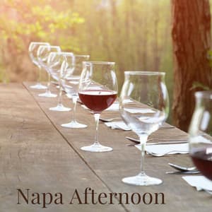Napa Afternoon - Nature Sounds for Relaxation and Sleep