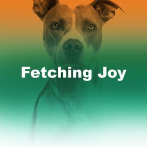 Fetching Joy - Dog Music Club