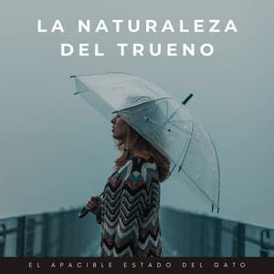 La Naturaleza Del Trueno: El Apacible Estado Del Gato - Phall del trueno