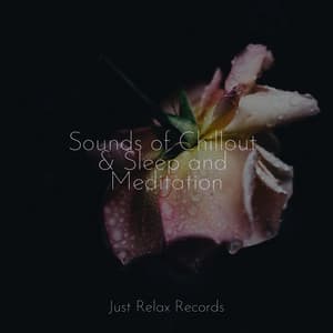 Sounds of Chillout & Sleep and Meditation - Relaxamento