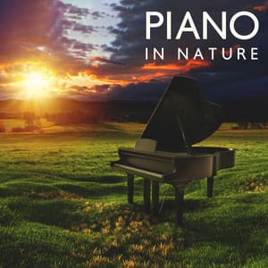Piano in Nature: Meditation and Relaxation Pieces for Spa, Study and Deep Sleep - Calm Nature Oasis