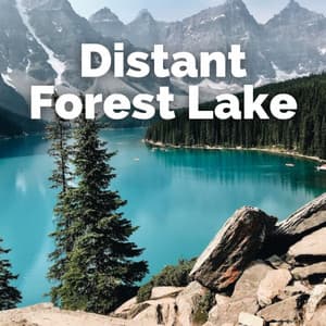 Distant Forest Lake - Sleeping Nature Sound