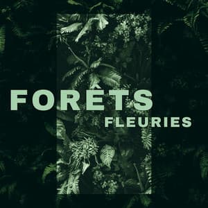 Forêts fleuries: Sons de ruisseaux, Chant d'oiseaux, Pluie printanière - Nature Académie