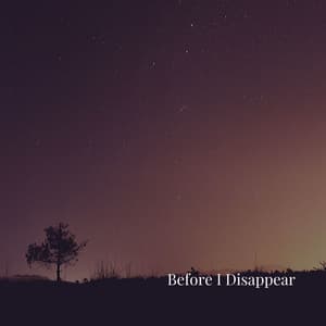 Before I Disappear - Tranquility Spree
