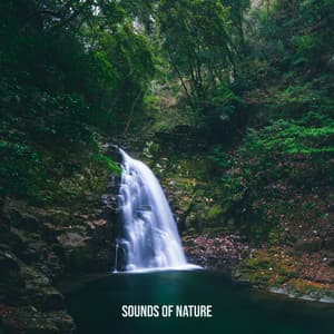 Sounds of Nature - Green Power - Healing Music- Mind Relaxation - Relaxing Nature Sounds Collection