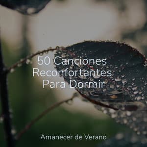 50 Canciones Reconfortantes Para Dormir - Musica para Meditar