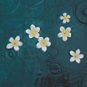 30 Day Boost: Happiness at Hand - Spa Music Relaxation