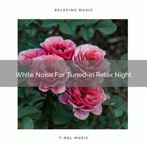 White Noise For Tuned-in Relax Night - Pure Deep Sleep White Noise