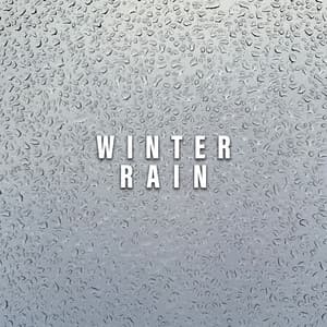 Winter Rain - Cat Music